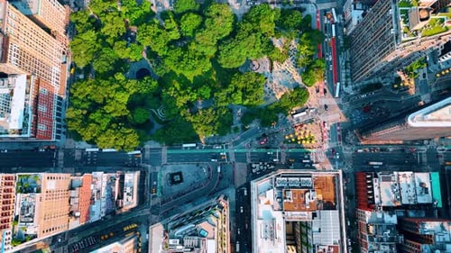 Greenery of Madison Park from top view. Drone footage over the Fifth Avenue in New York
