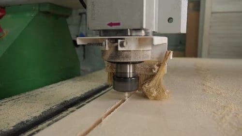 A Powerful Cutter for Wood Materials Works with Plywood in a Carpentry Workshop