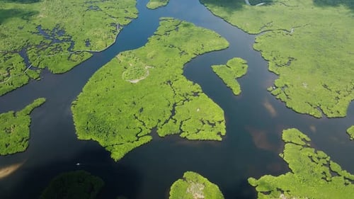 Large River Bends Through Mangrove Forest Siargao Philippines