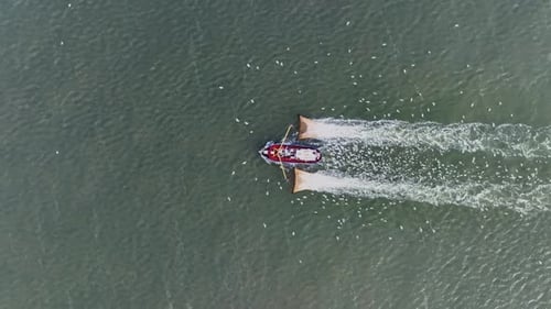 Drone topdown shot of a Fishers boat dragging the nets thru the water. Birds circling the boat looki