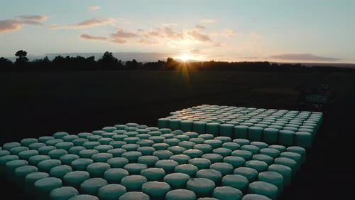 Gestapelte runde Silagefutterballen im ländlichen Neuseeland, Sonnenaufgang