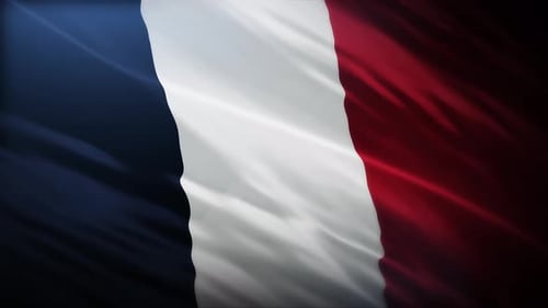 Realistic Waving French Flag Loop Background Animation