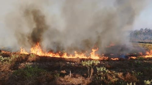 Uhd Wildfire Burning During Hot Weather