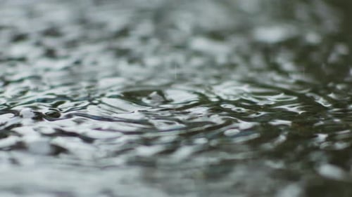 Close Up Of Raindrops Falling On Water Surface With Ripples and Splashes