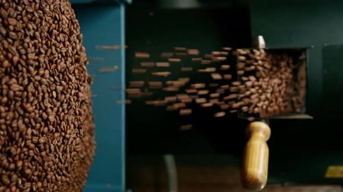Coffee Beans Roasting in Industrial Machine