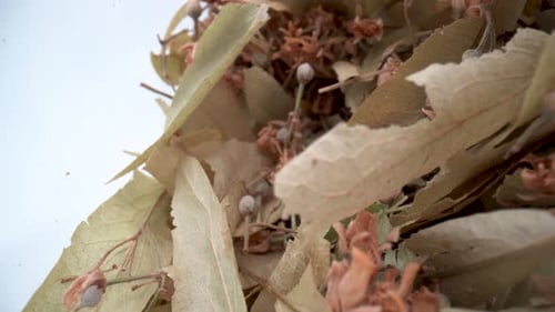 Dried linden flowers in a jar close up 4K