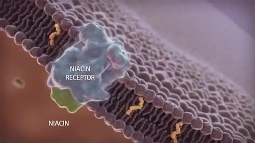 Molecular Interaction at Cell Membrane with Niacin Receptor Animation