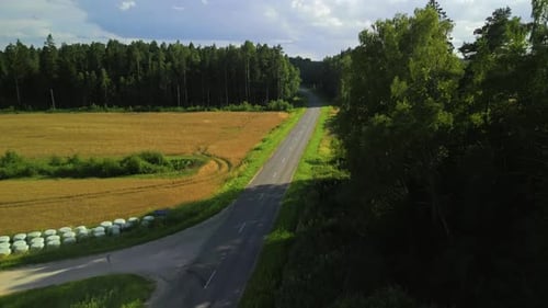 Uma vista aérea serena e pacífica de uma bela estrada rural cercada por campos verdes exuberantes e