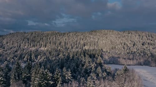 Flying Over The Snow-covered Dense Forest In The Mountain During Winter In Norway. - aerial shot
