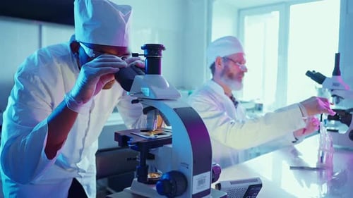 Scientists Working with Microscope and Test Tubes in Lab