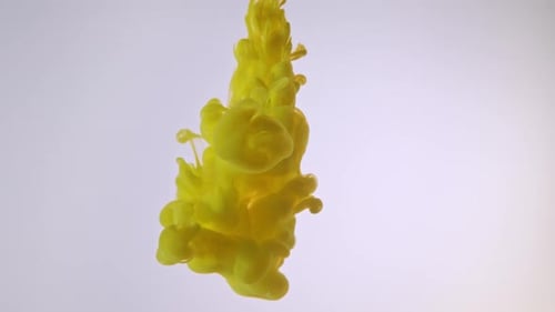 Yellow Color Paint Drops in Water Against White Background
