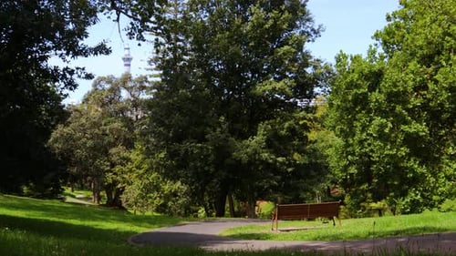 Eine allgemeine Handaufnahme einer Bank in einem Park mit dem Sky Tower im Hintergrund auf einem klaren und gewinnenden Bild