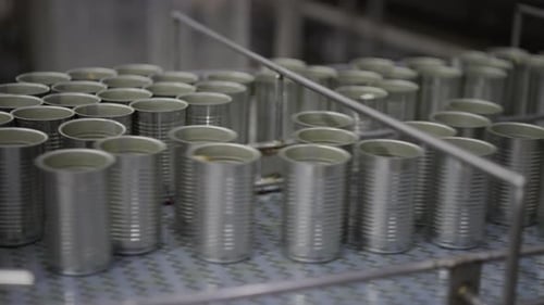Line production of canned fish factory.