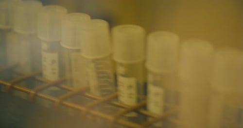 Test Tubes in Rack Medical Science Laboratory