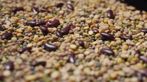 Close Up of Various Dry Beans and Grains