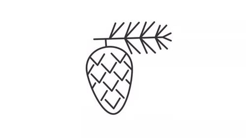 Animated pine cone line icon