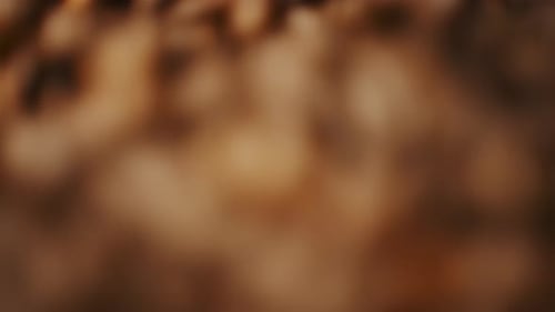 Roasted Coffee Beans Macro Stirring