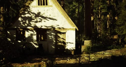 Rustic Cabin Surrounded By Trees in a Serene Forest Environment