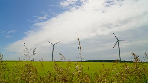 Wind turbines in the field