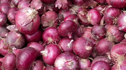 fresh organic onion from farm close up from different angle