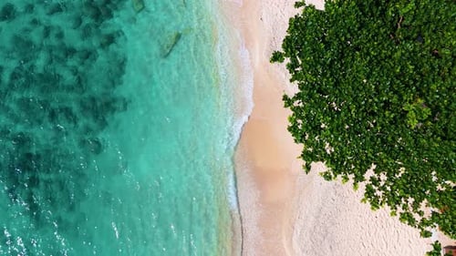 Tropical island, white sand beach and lush vegetation with lear turquoise water. Koh Tao Thailand