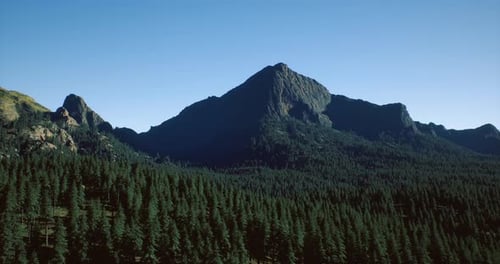 Stunning Mountain Peak Overlooks Dense Pine Forest in Clear Blue Sky