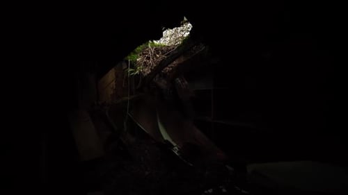 shot of the interior of an abandoned insane asylum, mental hospital, Dolly from top to bottom, dark,