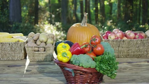 Fresh Raw Vegetables and Fruits Fresh Vegetable Selection in Green Farm Harvested Fruits and