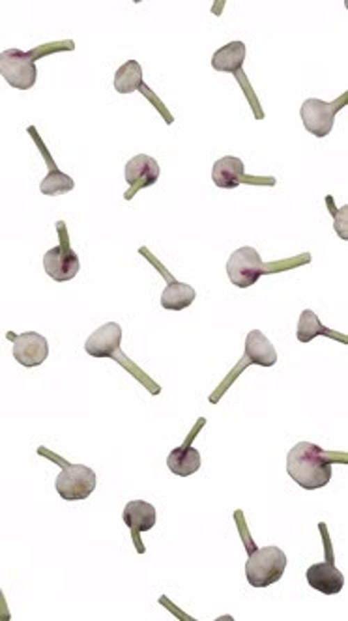 Seamlessly Looping Animation of Falling Garlic Bulbs