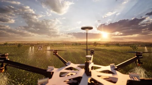 Agricultural Drones Spraying Pesticides Over A Field At Sunset