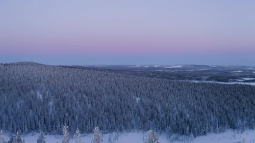Aerial reversing view above wintertime woodland trees with snow covered mountain range across the sk