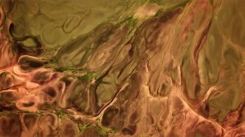 Abstract Fluid Pattern in Brown and Green