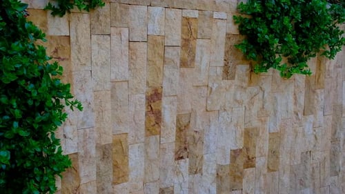 Stone Wall Texture Background Selective Focus