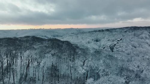 Aerial Flight Over a Beautiful Winter Forest