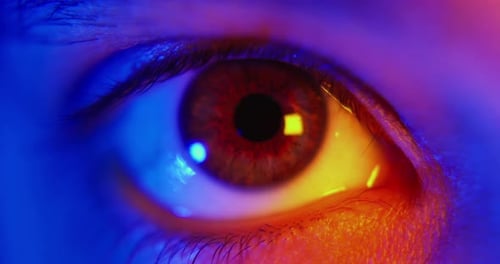Macro Close Up of a Colorful Human Eye