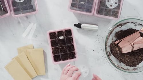 Setting Up Indoor Seed Starter Trays for Gardening