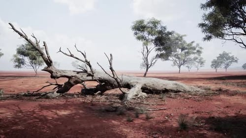 A Fallen Tree Lies on the Dry African Savanna Under a Bright Sky in Midday