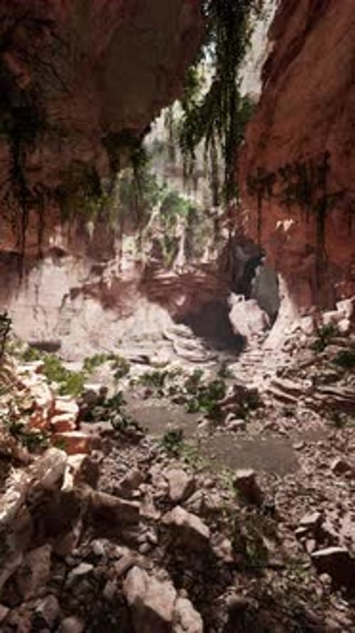 Rocky Area With Plants and Rocks