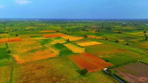 large area view of greenish land filled with trees and under beautiful cloudy blue sky