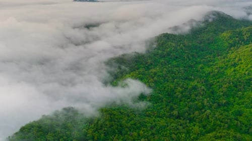 Green Mountain Range Shrouded in Cloud