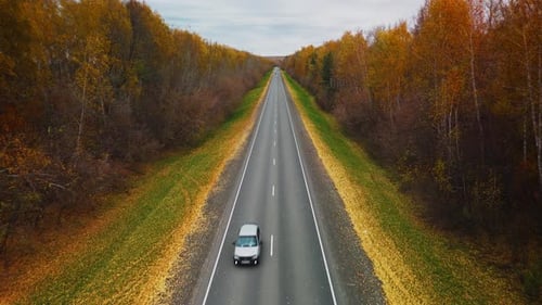 Aerial View of a Car Driving Along a Colorful Autumn Highway Surrounded By Trees