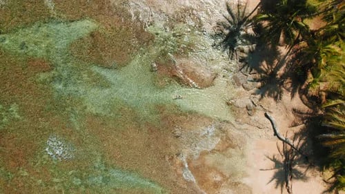 Woman swimming in tidal pool by palm shaded shore at Playa Cocles in Costa Rica