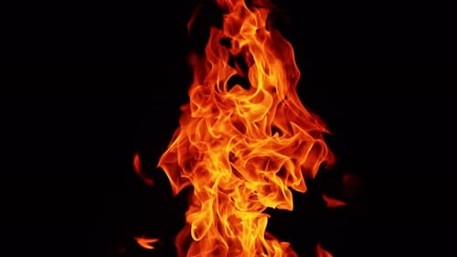 Long fire flame rising up. Burning bonfire in the darkness isolated close up.