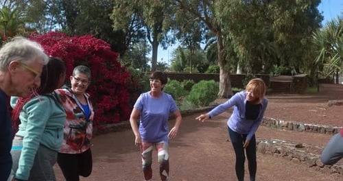 Fit senior people doing stretching exercise at city park - Group of elderly friends doing sport