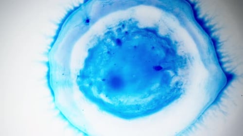 Wirbeln Sie blaue Tinte im Wasser, ein Schuss Flüssigkeit vermischt sich und es entstehen faszinierende Muster