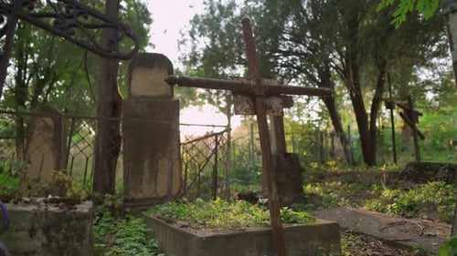 Old Metall Cross in a Cemetery During the Day Seen Through the Trees with Sunlight on Background