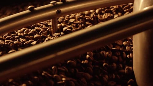 Roasted Golden Coffee Beans Spinning in Industrial Roaster
