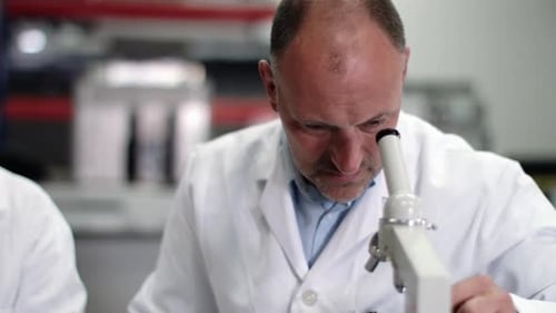 Scientist team working in laboratory