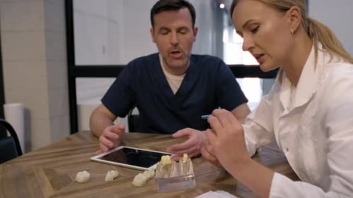 Dentists Discussing Dental Models at Office Table