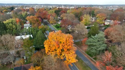 Upscale neighborhood in autumn fall foliage. American town and historic homes.